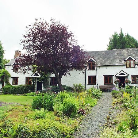 Glencoed B&B Ρέξαμ Εξωτερικό φωτογραφία