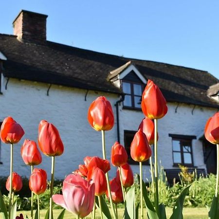 Glencoed B&B Ρέξαμ Εξωτερικό φωτογραφία