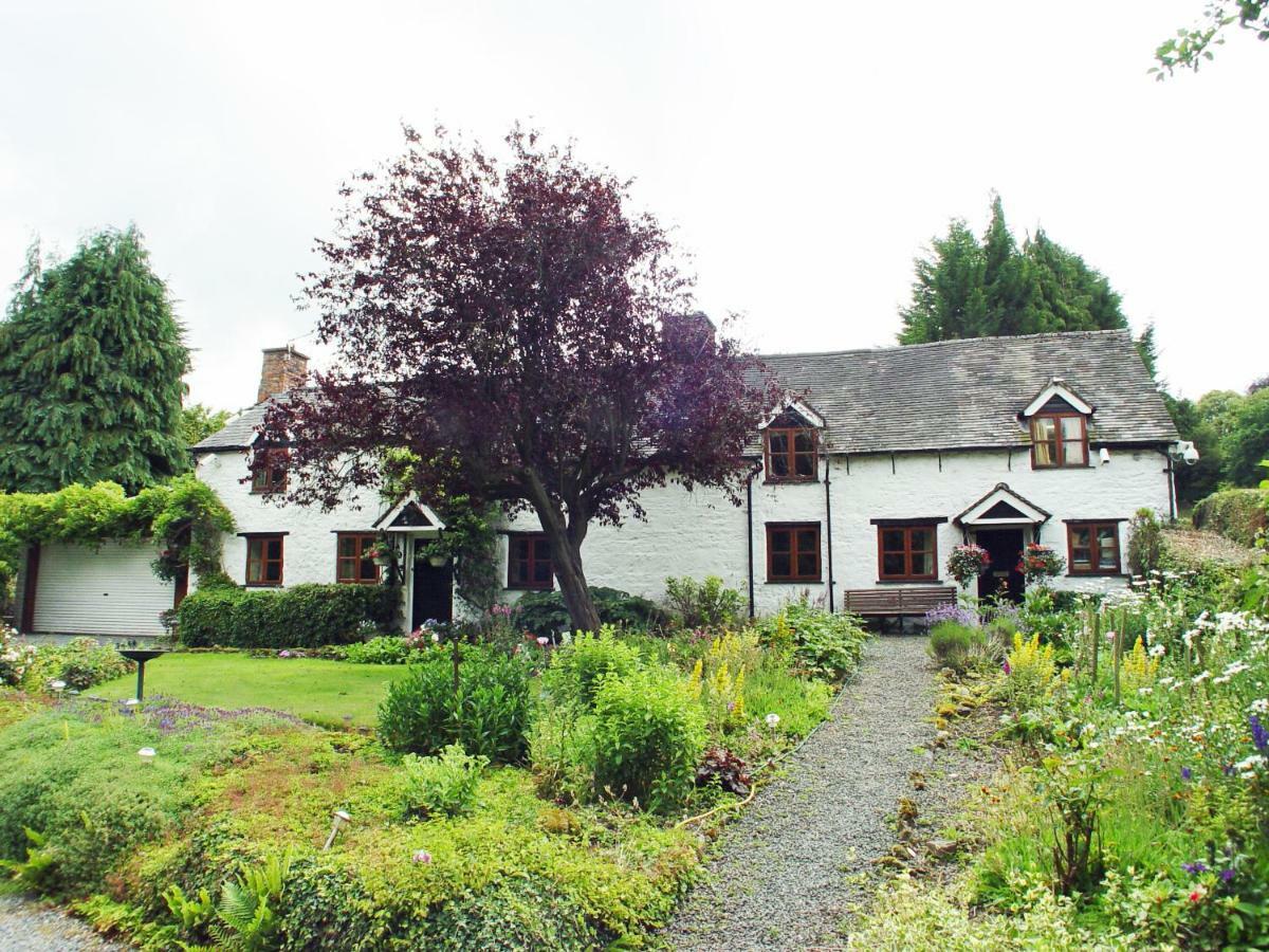 Glencoed B&B Ρέξαμ Εξωτερικό φωτογραφία